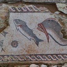 Indeed the Roman people of Milreu loved fish